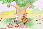 Pil&Pol: printemps / spring